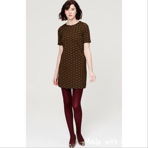 Ann Taylor dress for Fall